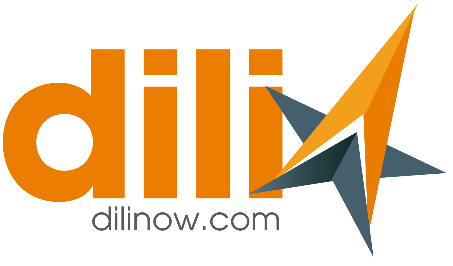 dili (dilinow.com) logo